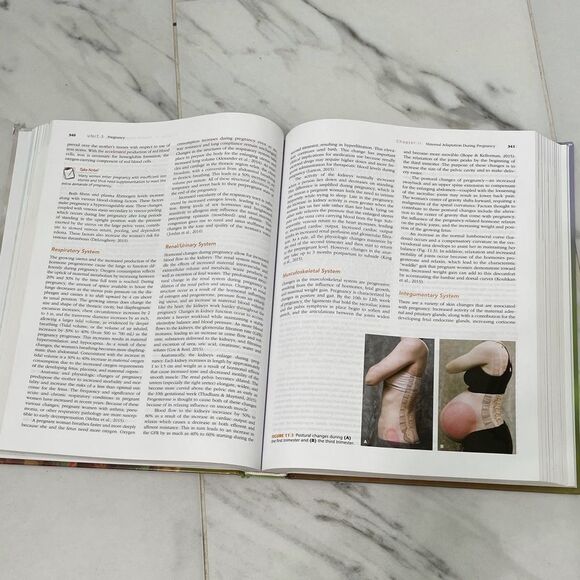 Essentials of Maternity, Newborn, & Women’s Health Nursing 4th Edition S. Ricci - Picture 6 of 6